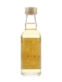 Port Ellen 1977 16 Year Old Cask 5559 Bottled 1994 - Van Wees 5cl / 43%