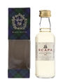 Scapa 1993 Bottled 2004 - Gordon & MacPhail 5cl / 40%