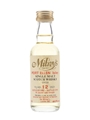 Port Ellen 1982 12 Year Old Bottled 1995 - Milroys 5cl / 60.5%