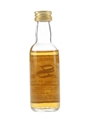 Highland Park 1966 22 Year Old Bottled 1989 - Signatory Vintage 5cl / 52%