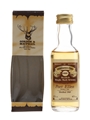 Port Ellen 1969 Connoisseurs Choice Bottled 1980s - Gordon & MacPhail 5cl / 40%