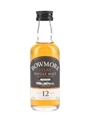 Bowmore 12 Year Old Enigma  5cl / 40%
