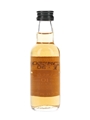 Tamdhu 10 Year Old Bottled 1990s 5cl / 43%