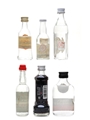 Assorted Vodka From Around The World Lucas D Tsotras, Martini & Rossi, Moryoskoff, Puschkin, Romanoff, Sorel 6 x 3cl-5cl