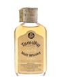 Tamdhu 8 Year Old Bottled 1970s - Gordon & MacPhail 5cl / 40%