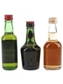 Black Bottle, Vat 69, Whyte & Mackay Bottled 1960s & 1970s 3 x 5cl / 40%