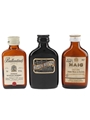 Ballantine's, Black Bottle & Haig  3 x 4.7cl-5cl