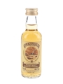 Glengoyne 10 Year Old Bottled 1982 - Commemorative Bottling 5cl / 40%