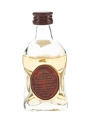 Cardhu 12 Year Old  5cl / 40%