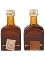 Gran Dyc Licor de Whisky  2 x 5cl / 35%