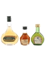 Janneau, Marquis de Montesquiou & Marquis de Puysegur  3 x 3cl-5cl / 40%