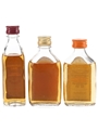 Bushmills 10 Year Old, Black Bush & White Label Bottled 1980s 3 x 5cl / 40%