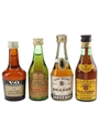 Assorted Brandy Of The World Bertrams, Mariacron, Sandeman, Torres 4 x 4cl-5cl