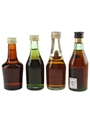 Assorted Brandy Of The World Bertrams, Mariacron, Sandeman, Torres 4 x 4cl-5cl