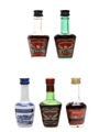 De Kuyper Cherry Brandy & Pimpeltjens Nassau Orange Liqueurs  5 x 3cl-3.6cl