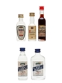 Assorted Sambuca Bora, Borghetti, Casoni, San Marco 5 x 2.3cl-5cl