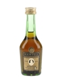 Martell Medaillon VSOP Bottled 1970s-1980s 5cl / 40%