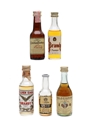 Assorted Brandy Of The World Fuentes, Christian Brothers, Golden Eagle, Sorel & Valdespino 5 x 3cl-5cl