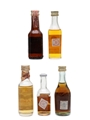 Assorted Brandy Of The World Fuentes, Christian Brothers, Golden Eagle, Sorel & Valdespino 5 x 3cl-5cl