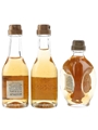 Stravecchio Branca & Vecchia Romagna Brandy  3 x 2.5cl-3cl