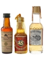 Assorted Liqueurs Mandarine Napoleon, Licor 43, Southern Comfort 3 x 3cl-5cl