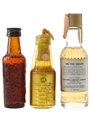 Assorted Liqueurs Mandarine Napoleon, Licor 43, Southern Comfort 3 x 3cl-5cl