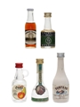 Assorted Spirits From Around The World Cointreau, Obstler, Sibona, Sorel & Surfers 5 x 3cl-5cl