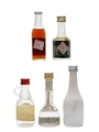 Assorted Spirits From Around The World Cointreau, Obstler, Sibona, Sorel & Surfers 5 x 3cl-5cl