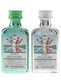 Aviatore Amaro Bottled 1960s-1970s 2 x 3cl / 30%