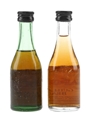 Napoleon Guillaume Brandy Spain 2 x 5cl / 37%