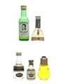 Assorted Liqueur Burns Nectar, Garnier, Marie Brizard, Montserrat & Mrs McGillvray's Scotch apple 5 x 1cl-5cl