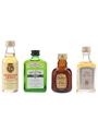Grand Old Parr, Highland Queen, Mackenzie & Old Rarity Bottled 1970s & 1980s 4 x 4cl-5cl