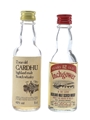 Cardhu & Inchgower 12 Year Old Bottled 1980s 2 x 5cl / 40%