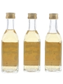 Jose Cuervo Especial Bottled 1980s-1990s 3 x 5cl / 38%