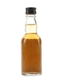 Big T Bottled 1980s - Tomatin Distillers 4.7cl / 43%