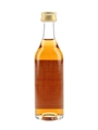 Tobermory 1995 Bottled 2009 - Alambic Classique Collection 5cl / 50.2%