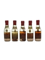 Courvoisier 1884, 1893, VVO 40yo, VO 20yo & 3 Star  5 x 3cl