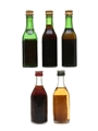 Assorted Martini Miniatures  5 x 6cl