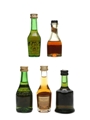 Assorted Cognac Incl. Polignac, Camus & Martell 5 x 5cl