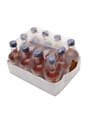 Bronte Blackberry & Sloe Liqueurs  12 x 5cl / 26%
