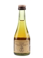 Balvenie 10 Year Old Founder's Reserve Bottled 1980s 5cl / 43%