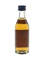 Martell 3 Star VOP Bottled 1960s 5cl / 40%