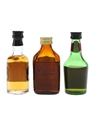 Glenfoyle, Grendel's & Vat 69  3 x 3.7cl-5cl