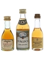 Bardinet, St Agnes & Stravecchio Branca  3 x 2.5cl-5cl