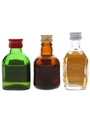 Buchanan's, Grand Old Parr & Stewarts Bottled 1970s 3 x 5cl / 40%