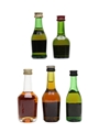 Bisquit, Courvoisier, Hennessy, Martell & Remy Martin  5 x 3cl-5cl / 40%