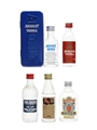 Assorted Vodka Absolut, Borzoi, Finlandia, Tekel & Zamoyski 5 x 5cl