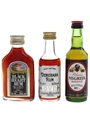 Black Heart, OVD Demerara & Negrita  3 x 5cl / 40%