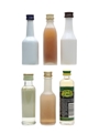 Assorted Liqueur  6 x 4cl-5cl