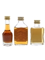 Brammle, Hot Toddy & Murray's Scottish Highland  3 x 2cl-5cl